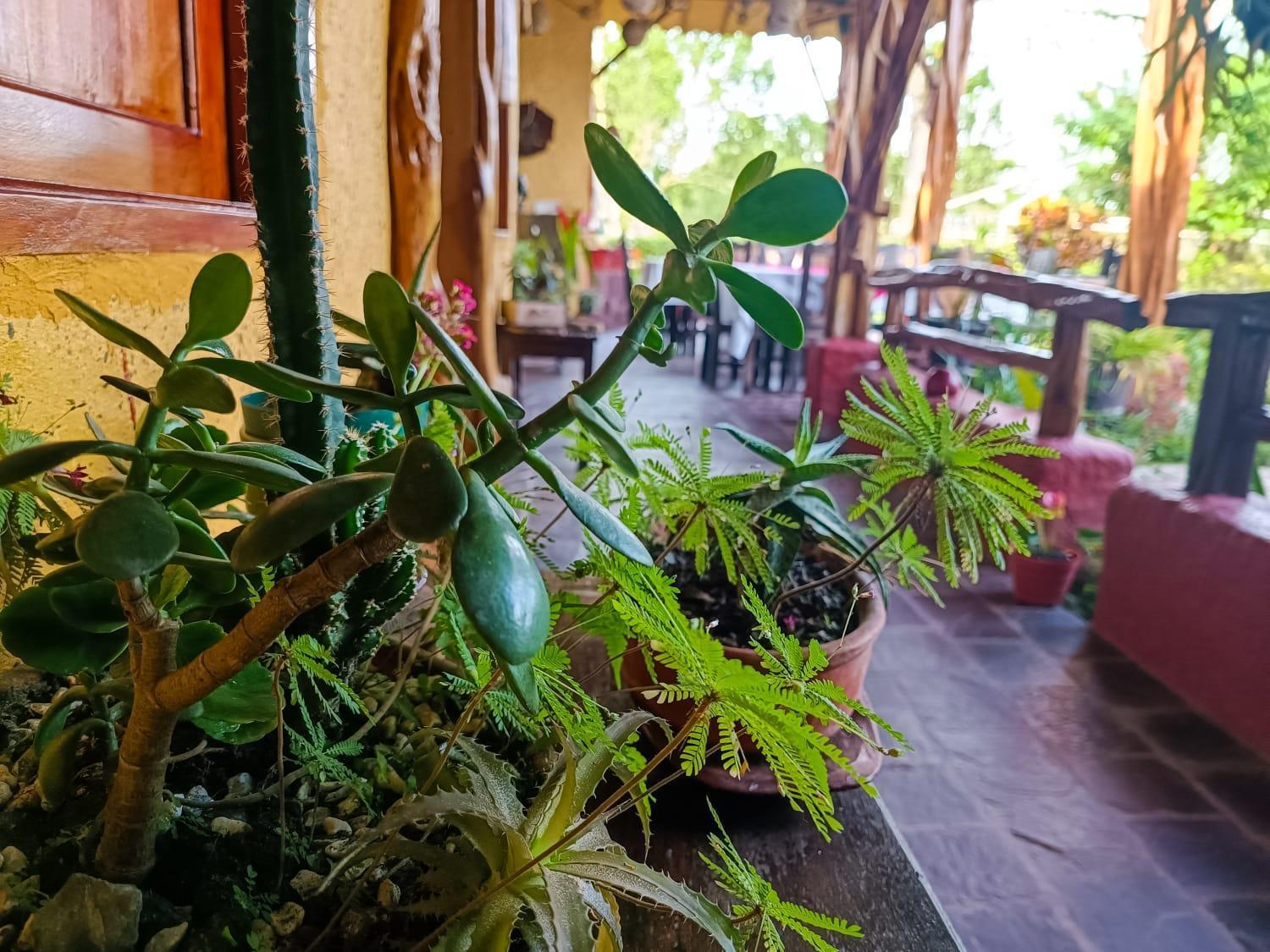 Hotel Del Campo Quimbaya Bagian luar foto